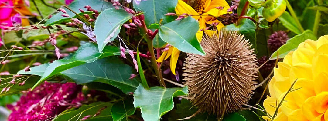 Bloemen, zaden en mengsels