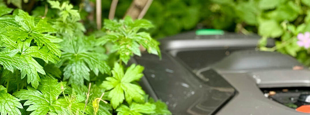 Tuin winterklaar maken